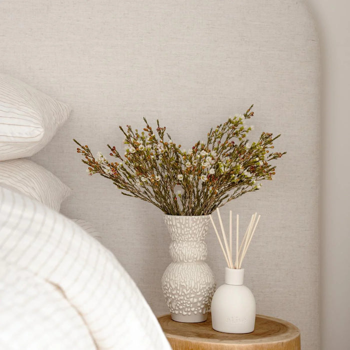 Sweet Dewberry & Clove Diffuser