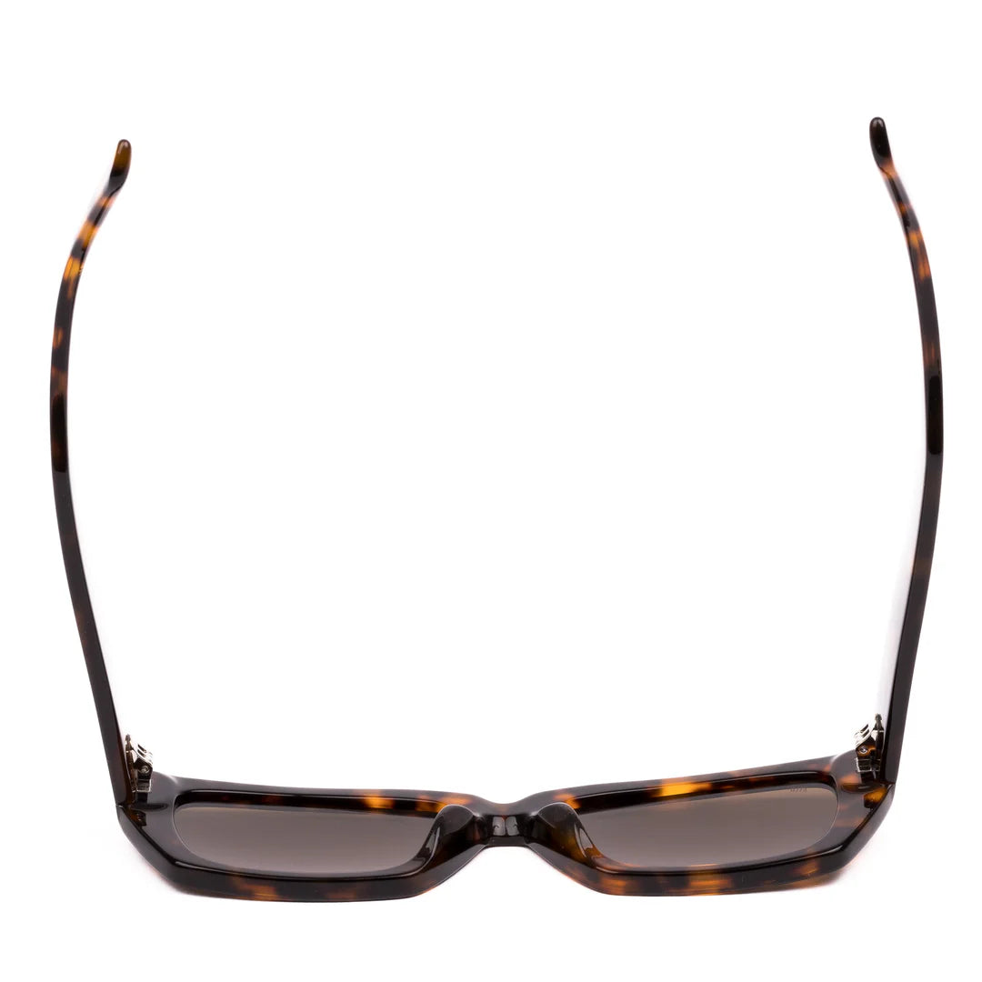 Outer Limits: Honey Tort/Brown Polarised