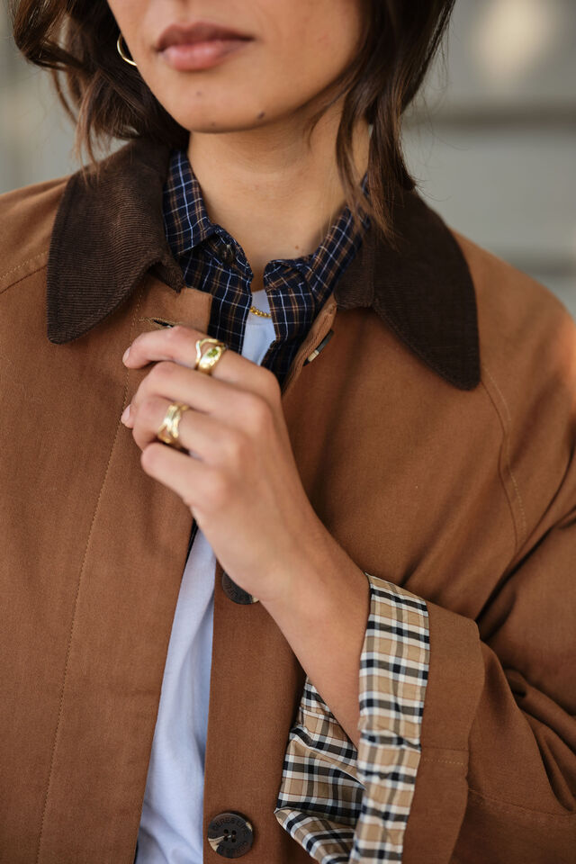 Ash Coat - Toffee Choc Collar