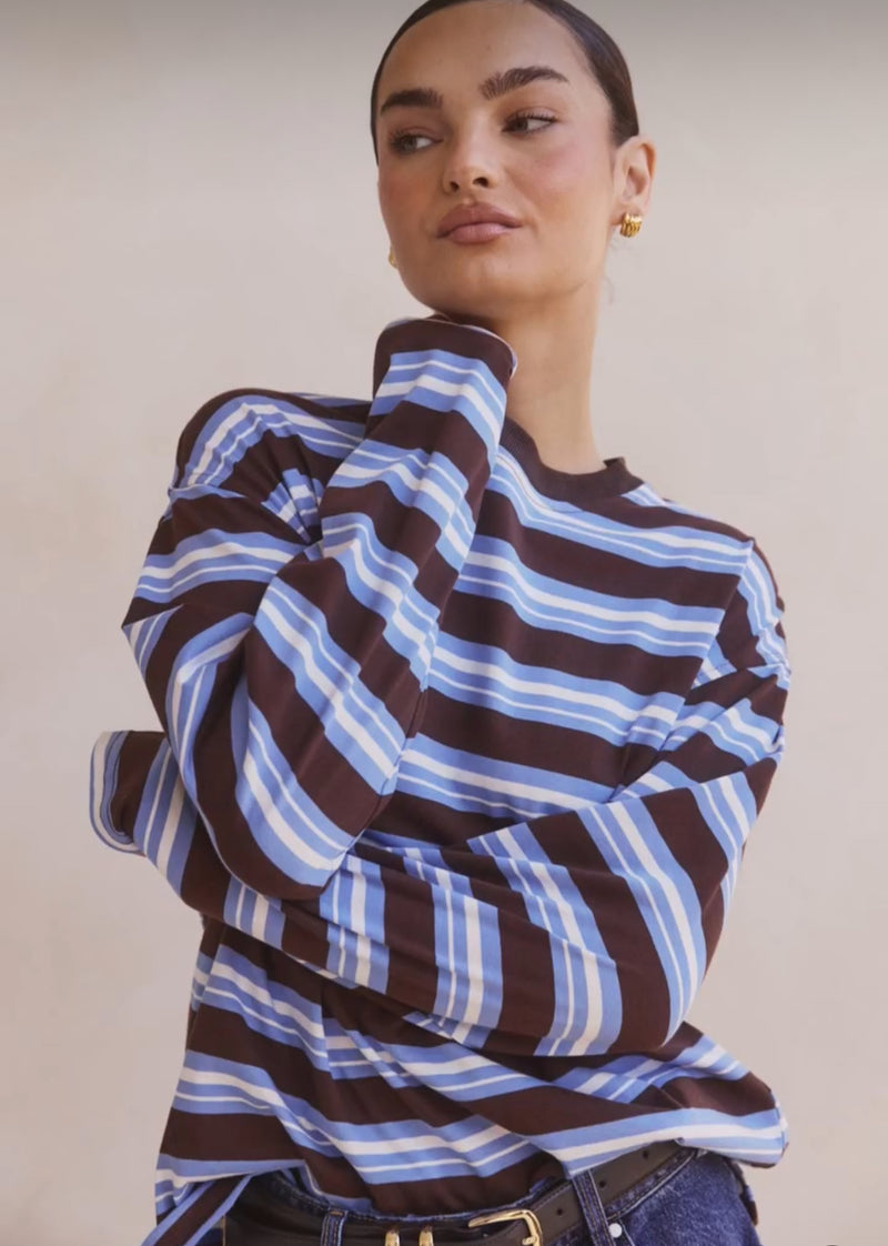 Kara Blue Brown Stripe Top