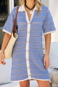 Nala Stripe Mini Dress - Summer Blue Stripe