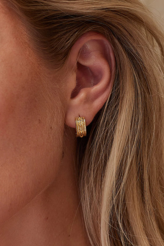 Nala Gold Hoops