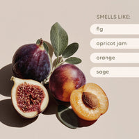 250ML Reed Diffuser - Apricot & Sweet Fig. Al.ive Body