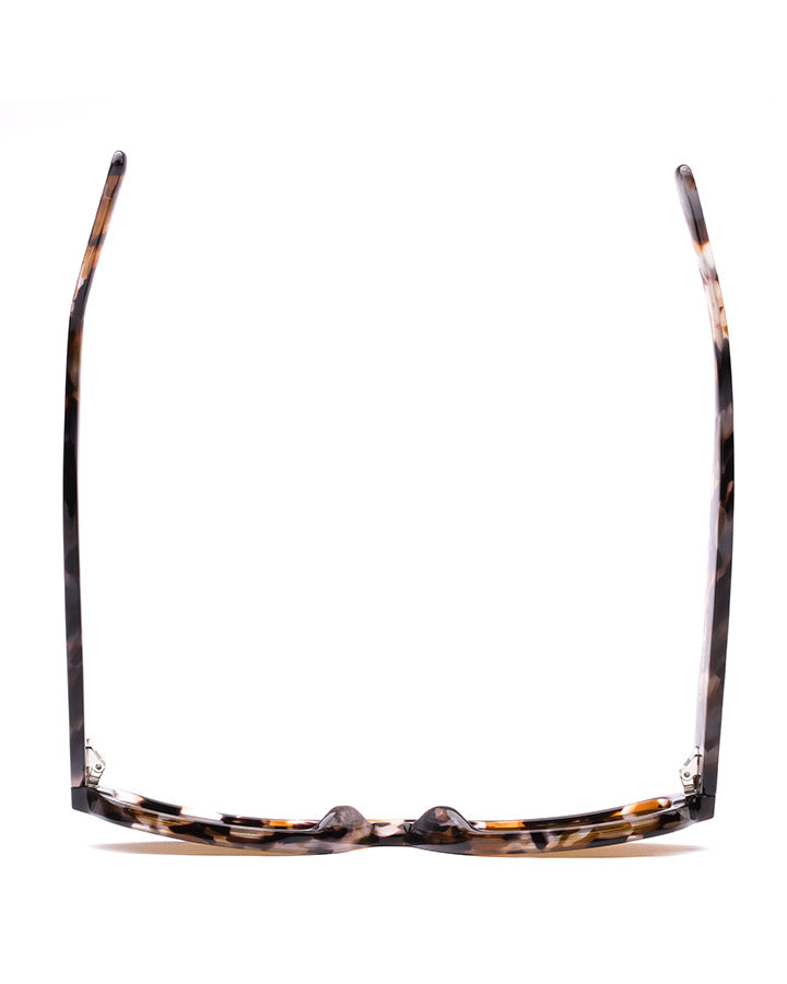 Atlas: Pebble Tort/Brown Polar
