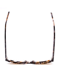 Atlas: Pebble Tort/Brown Polar