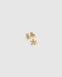 Starfish Gold Studs