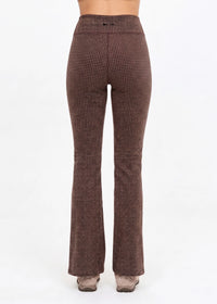 Zinnia Florence Flare - Check
