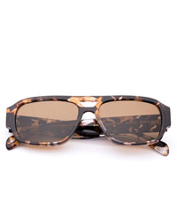 Atlas: Pebble Tort/Brown Polar