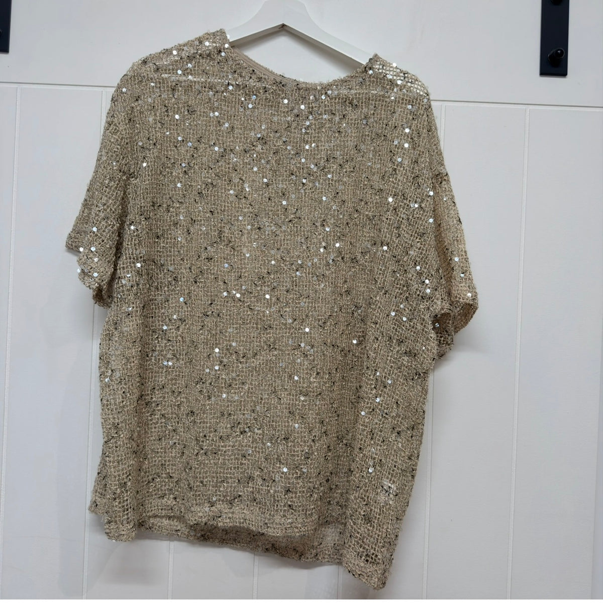 Beige Sequins Knit Oversized Tee