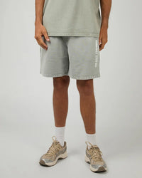 Acid Essential Theory Short - Grey