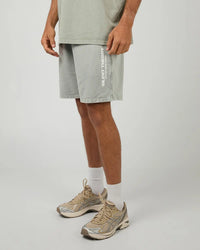 Acid Essential Theory Short - Grey