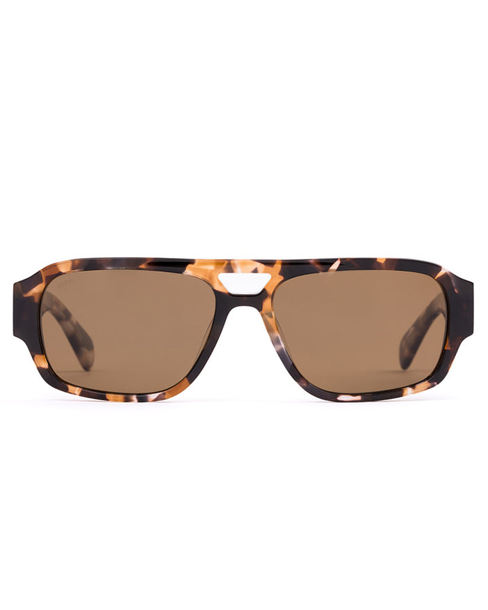 Atlas: Pebble Tort/Brown Polar