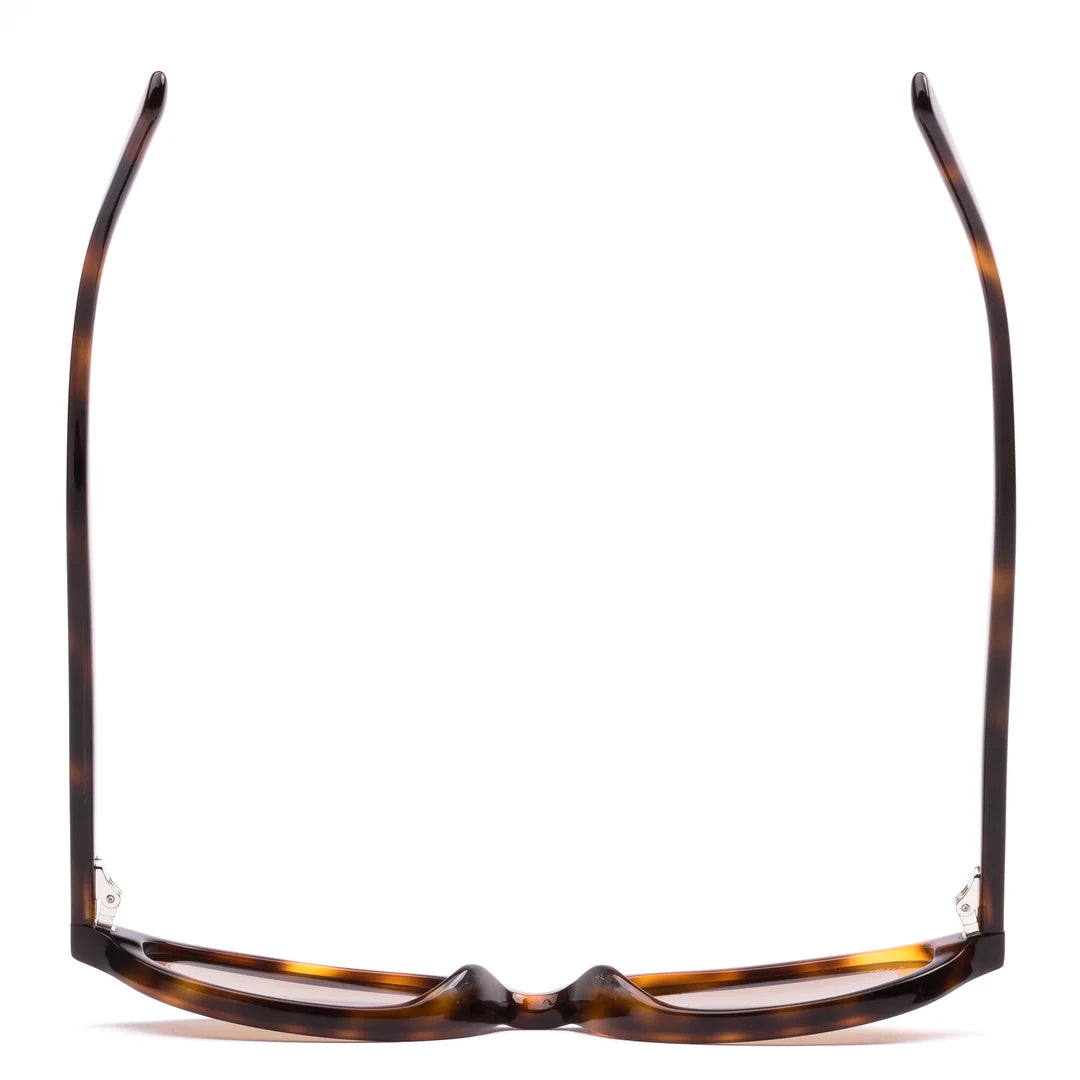 Orion: Classic Tort Polarised