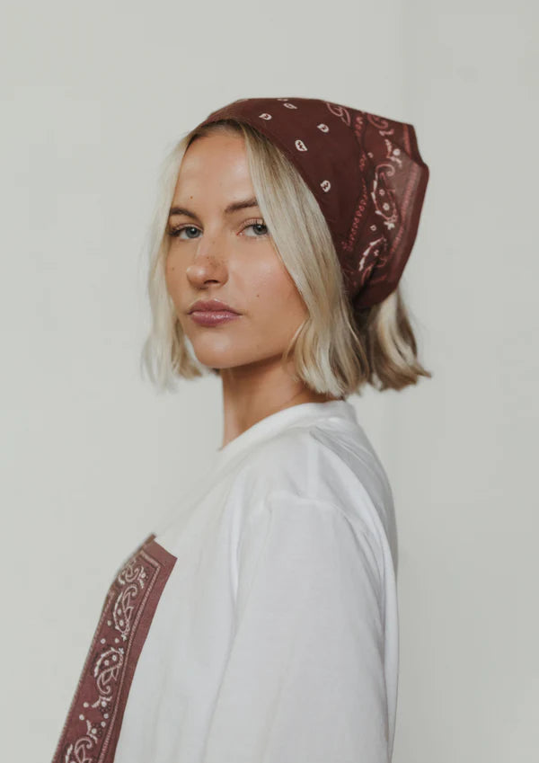 Bandana Triangle w/ ties