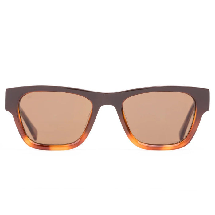 Boston: Tan Gradient Polarised - Sare StoreSito ShadesSunglasses