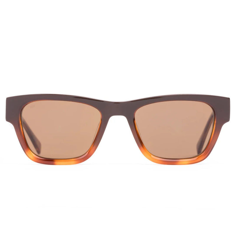 Boston: Tan Gradient Polarised - Sare StoreSito ShadesSunglasses