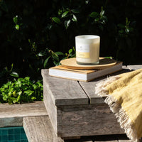 Coconut & Lime 420g Standard Candle - Sare StorePalm BeachCandle