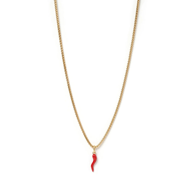 Arms of Eve Cornicello Red Charm Necklace – Sare Store