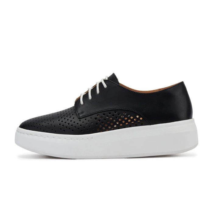 Derby City Punch Black - Sare StoreRollie NationShoes