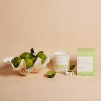 Jasmine & Lime 420g Standard Candle - Sare StorePalm BeachCandle