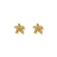 Lily Gold Earrings - Sare StoreArms Of EveJewellery
