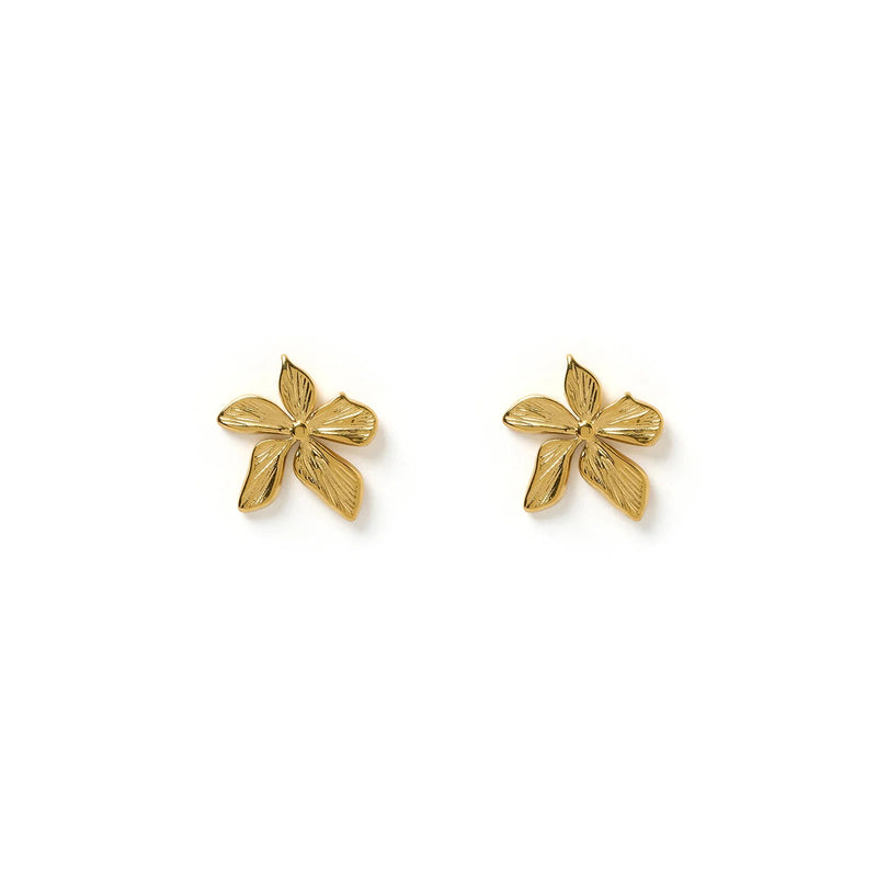 Lily Gold Earrings - Sare StoreArms Of EveJewellery