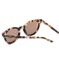 Now Or Never: Chestnut Tort - Sare StoreSito ShadesSunglasses