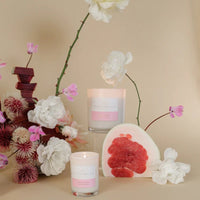 Pomelo & Dewberry 420g Standard Candle - Sare StorePalm Beach CollectionCandles