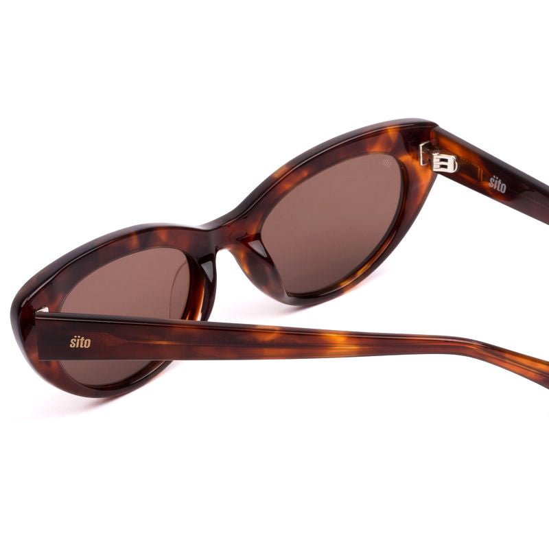 Siena : Burnt Orange Tort/Coffee - Sare StoreSito ShadesSunglasses
