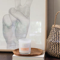 Watermelon 420g Standard Candle - Sare StorePalm BeachCandle